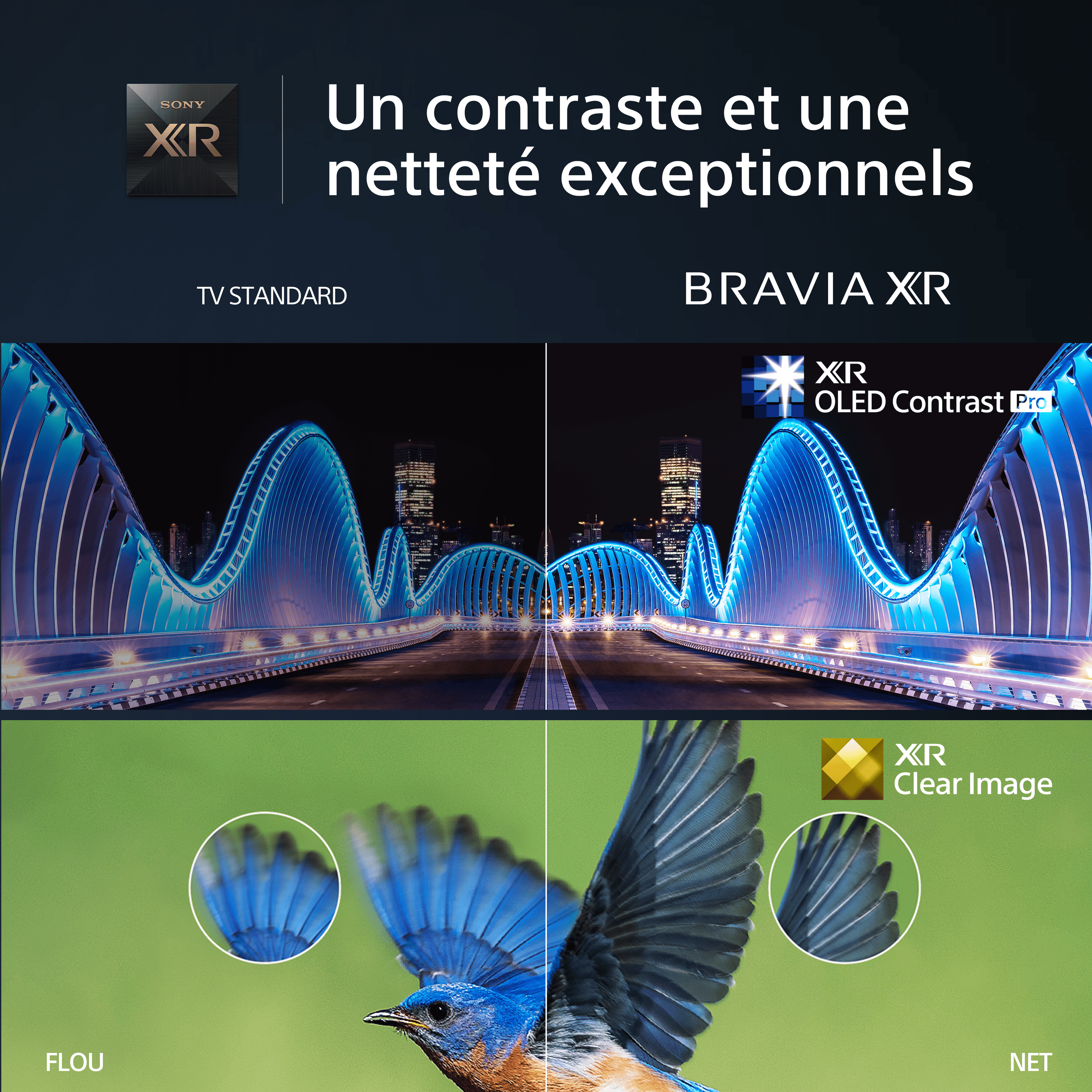 SONY TV | A80L | BRAVIA XR | OLED | 4K UHD | High Contrast HDR | Smart TV (Google TV)